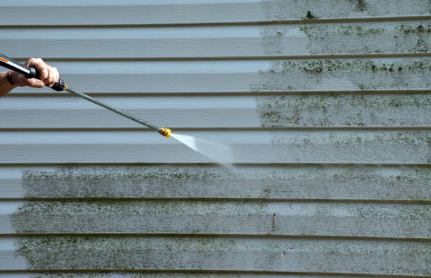 Professional Pressure Washing Services in Newark, AR